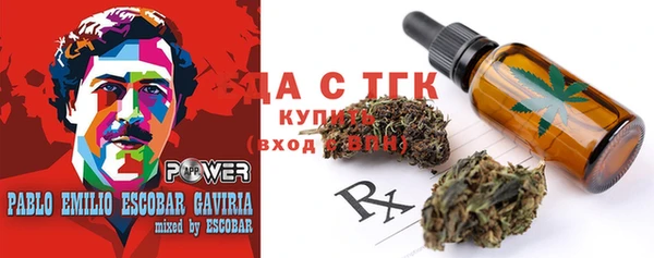 шишки Инсар