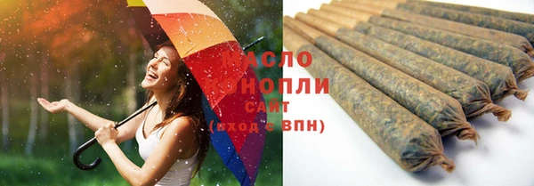 шишки Инта