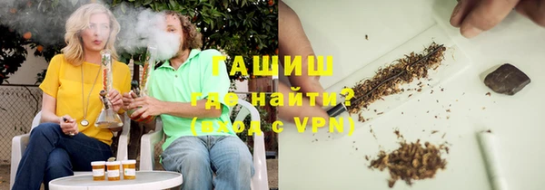 шишки Инсар
