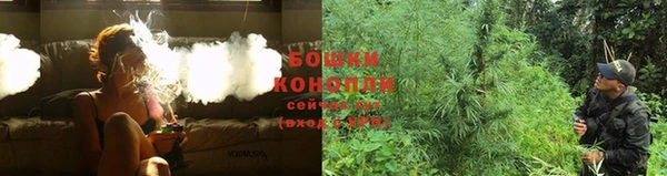 шишки Инта