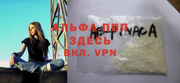 шишки Инта