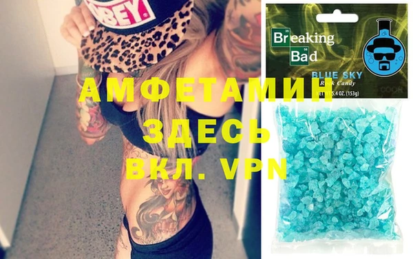 шишки Инсар