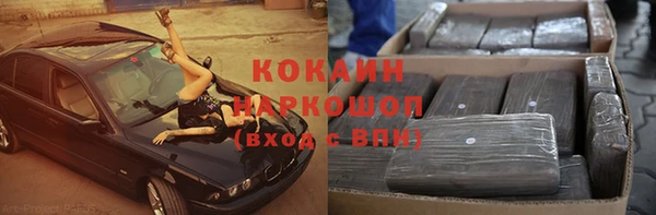 шишки Инсар