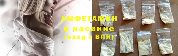 шишки Инта