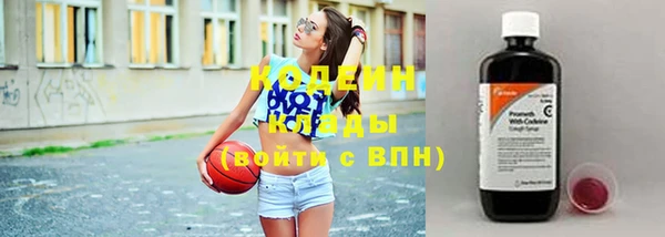 шишки Инсар