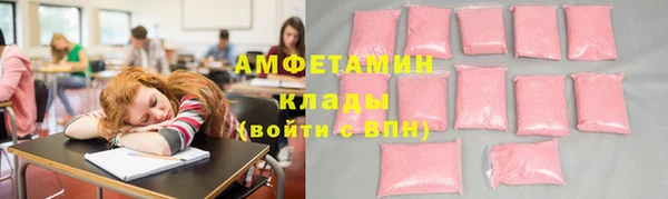 шишки Инсар