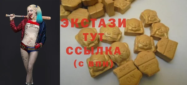 шишки Инта