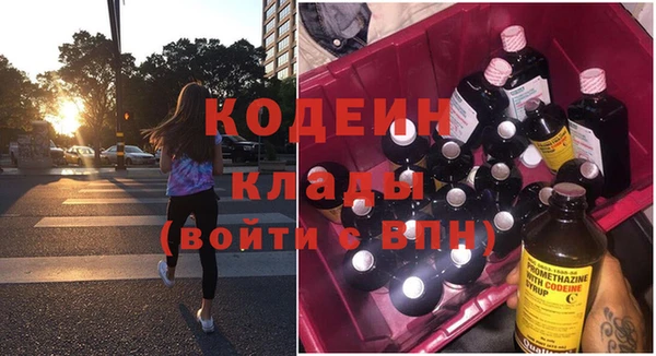 шишки Инта