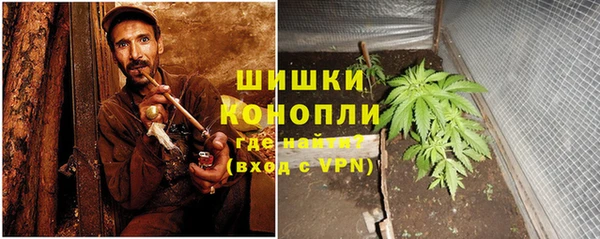 шишки Инсар