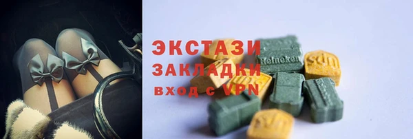 шишки Инта