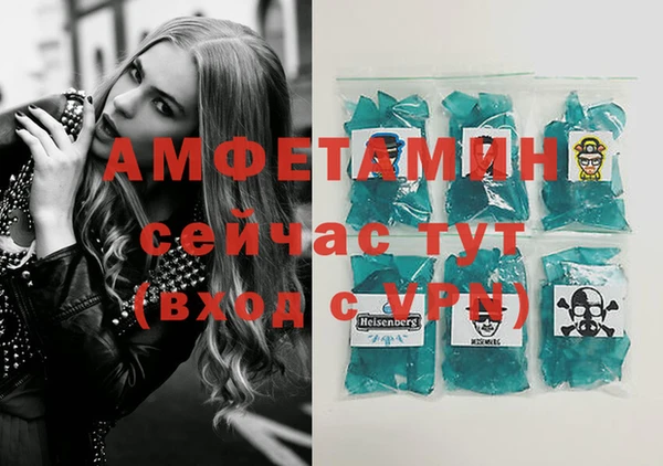 шишки Инсар