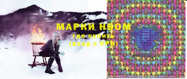 шишки Инта