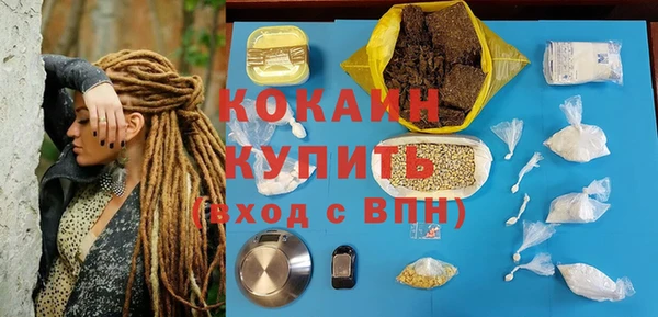 шишки Инта