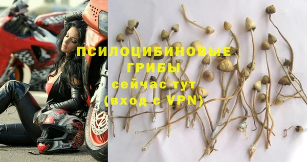 шишки Инта