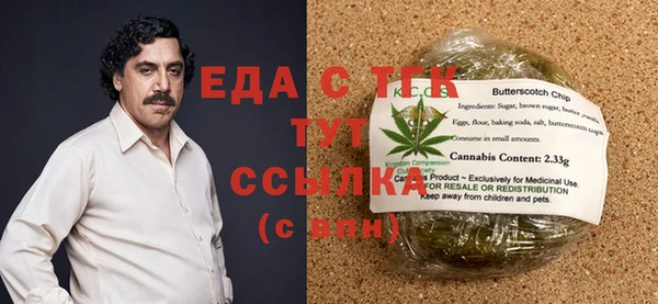 шишки Инта