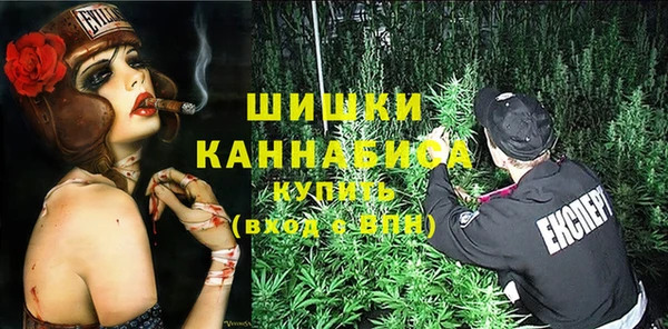 шишки Инта