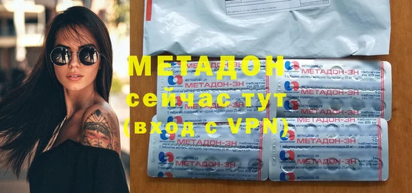 шишки Инта