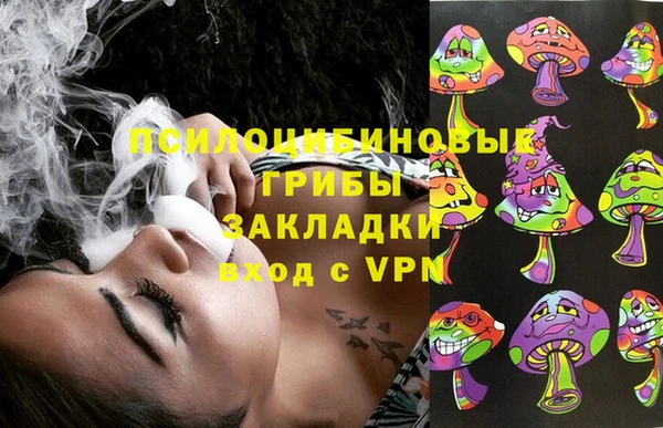 шишки Инсар