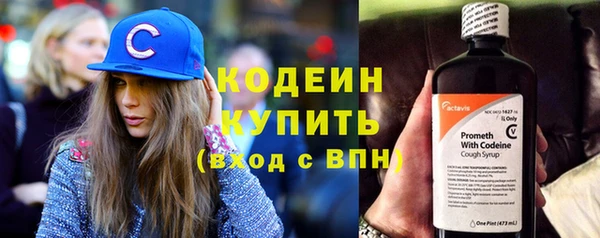 шишки Инта