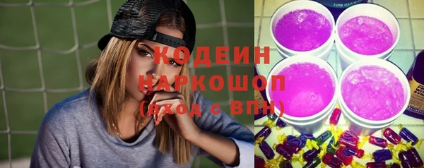 шишки Инсар