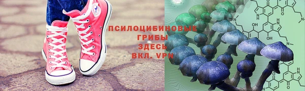 стафф Иннополис