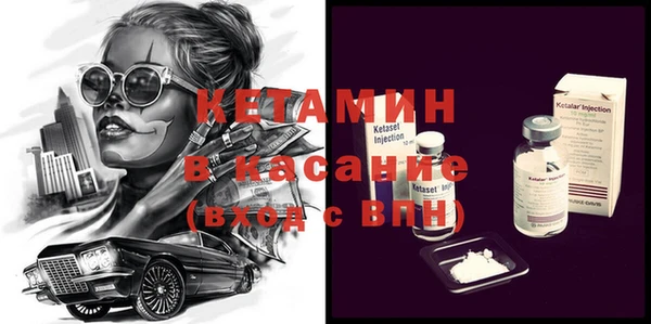 шишки Инта