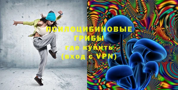 шишки Инта