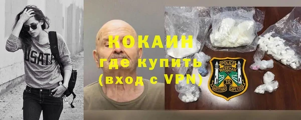 шишки Инта