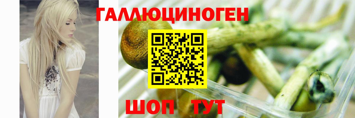 Галлюциногенные грибы прущие грибы Слободской